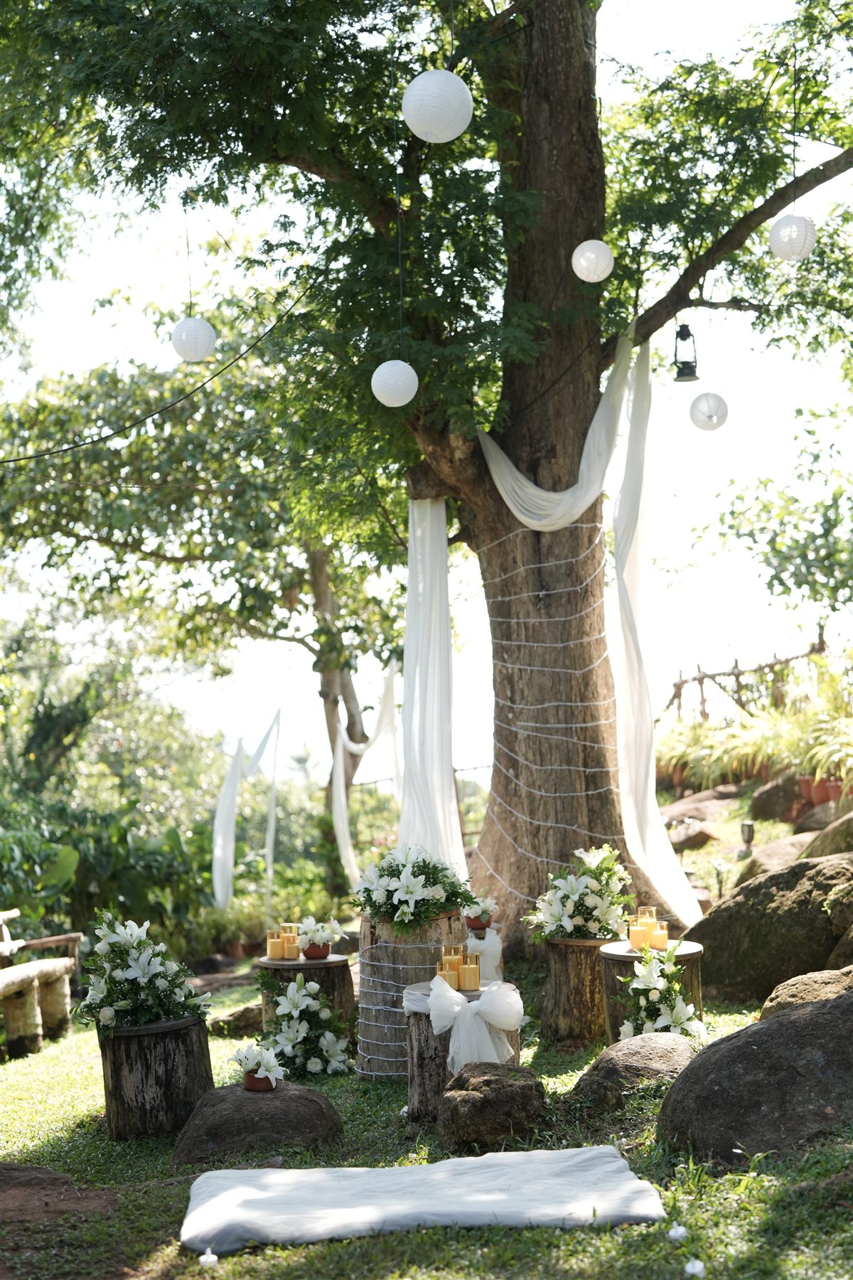 The old tree dressed in white drapes, lanterns and lilies